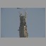 dubai-tower0203.jpg