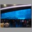 Dubai Mall aquarium