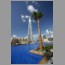Burj Dubai and a palm tree